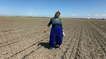 Belindeki 8 platinle tarlada ekmeğini kazanıyor