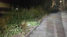 Bilecik'te Kaldırımlar Otlardan Yüzünden Kullanılamaz Hale Geldi