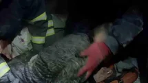 Kocaeli'de İtfaiye Ekiplerinin Zorlu Kurtarma Anları