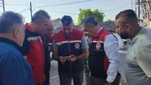 Aydın'da İlekleme Sezonu Takip Ediliyor