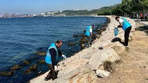 Dilovası'nda Sahil Temizliği Yapıldı