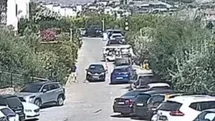 Bodrum'da Köpek Davasında Beraat Kararı