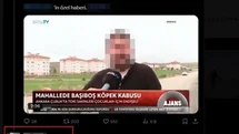 Aile sağlığı merkezindeki sedyede köpek tedavi eden doktorun skandal ifadeleri yeniden gündem oldu