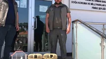 Kuş Denetiminde Yasa Dışı Hayvanlara El Konuldu