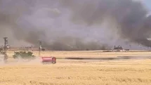 Harran'da Buğday Tarlası Yandı