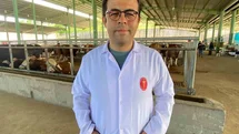 Kocaeli'de Kene Tehdidi Artıyor