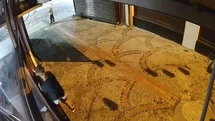 Edirne'de Çocuk Hırsızlık Olayı