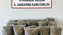 Diyarbakır'da 38,5 Kilo Esrar Yakalandı