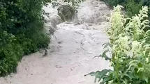 Bolu'da Taşkınlar Tarım Arazilerini Vurdu