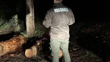 Sinop ormanları gece-gündüz koruma altında