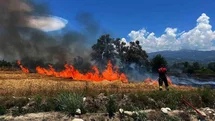 Limon Bahçesinde Yangın Kontrol Altına Alındı