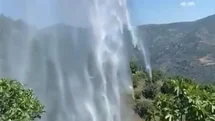 Aydın'da Bahçe Yangını