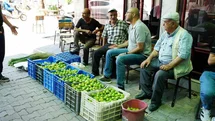 Aydın'da İlek Pazarı Fiyatları Değişkenlik Gösteriyor