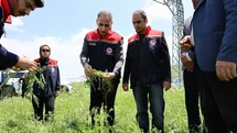 Akyaka'da Dolu Yağışı Tarıma Zarar Verdi