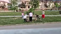 Denizli'de Parkta Köpek Saldırısı