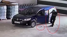 Hatay'da Yılan Korkusu Yaşandı