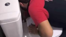 Siirt’te Sıkışan Kediler Kurtarıldı