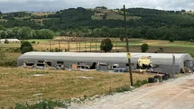 Sakarya'da Hayvan Çiftliği Yangını