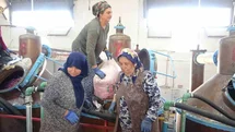Isparta'da Gül Yağı Hasadı Başladı