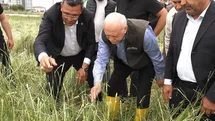 Kahramankazan'da Tarım Arazileri Zarar Gördü