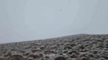 Süphan Dağı'nda Haziran Karı