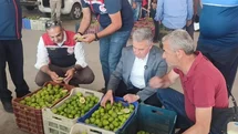 Buharkent'te İlek Meyveleri Denetlendi