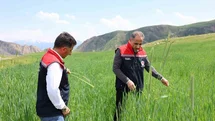 Kars’ta fenolojik gözlem çalışmaları sürüyor