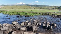Kayseri'de Manda Safari Deneyimi