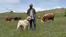 Sivas'ta Kangal Köpeklerinin Başarısı