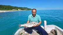 Türkeli’de nadir görülen kötek balığı avlandı