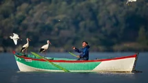 Bursa'da Leyleklerle Dolu Bir Hikaye
