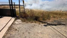 Tekirdağ'da Kuş Yangın Çıkardı