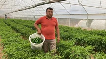 Lezzeti fiyatını unutturuyor