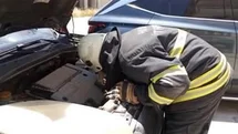 Arsuz’da aracın motor kısmına giren yavru kedi kurtarıldı