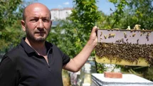Korkmadan temas edebildiği arılarla 5 senedir birlikte yaşıyor