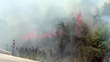 Otluk alanda çıkan yangın korkuttu