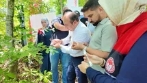 Savaşçı arılar kahverengi kokarcalar için salındı
