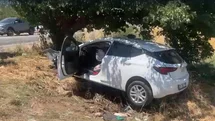 Sollama yaparken ağaca çarptı: 4 ağır yaralı