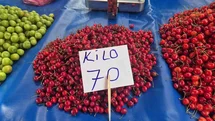 Festivalde 300 liraydı, pazarda 70 liraya düştü