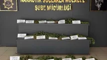 Diyarbakır'da Uyuşturucu Operasyonu