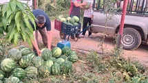 Antalya'da Hayırsever Çiftçiden Örnek Davranış