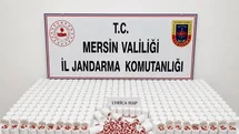 Mersin'de Uyuşturucu Operasyonu