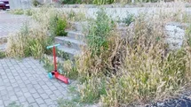 Otluk alana dönen bu park bakım ve temizlik bekliyor