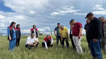 Kars'ta Dolu Yağışı Sonrası Hasar Tespiti Devam Ediyor