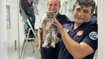 Eskişehir'de Mahsur Kalan Kedi Kurtarıldı