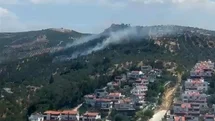 Burhaniye'de Zeytinlik Yangını Kontrol Altına Alındı