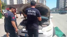 Adana'da Kedi Kurtarma Operasyonu