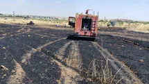 Mardin’de 40 dönüm buğday ekili alan yangında zarar gördü