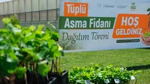 Tokat'ta Bağcılık Desteği Dağıtıldı