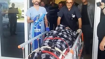 Hayvanlarını otlatırken ayı saldırısına uğradı, Kangallar imdadına yetişti